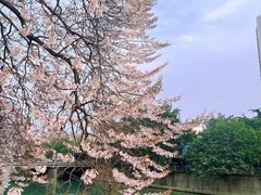 -红星桥(地铁站)