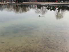 -太阳宫公园