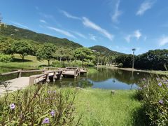 -普陀山风景名胜区-千步大沙