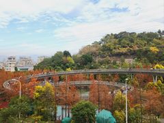 -梅峰山地公园