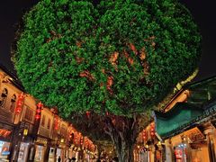 -安泰楼·佛跳墙创始人·传统闽味早茶·酒楼(三坊七巷闽菜地标店)