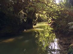 -怀托摩萤火虫洞