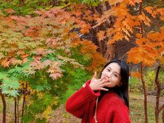 -长春市南湖公园