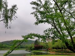 -上海佘山世茂艾美酒店