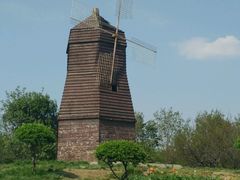 -洛阳郁金香牡丹园