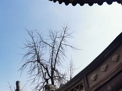 -上海白云观