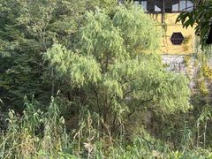 -幕燕滨江·长江观音景区