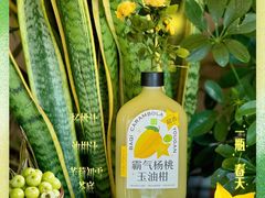 霸气杨桃玉油柑-奈雪的茶(天河城店)