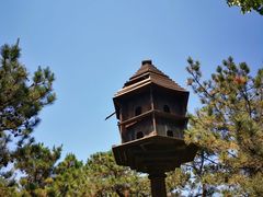 -北京张裕爱斐堡酒庄