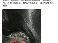 -宠颐生动物医院·心脏科·保险定点(锦阳分院)