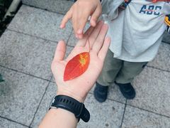 -小南山公园