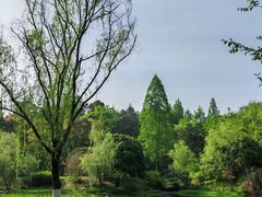 -杭州植物园