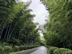 -池州市平天湖风景区