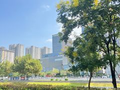 -西安城墙·碑林历史文化景区