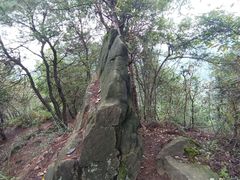 -大龙山(地铁站)