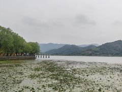 -鸣鹤古镇