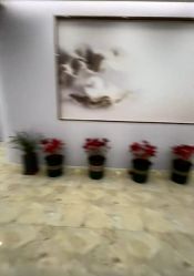 -紫琪尔胸部养护中心