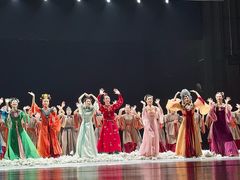 -合肥大剧院