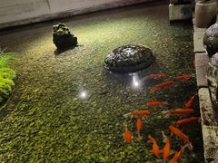 -几荷·恰似故人来(秀水广场店)