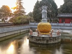 -泰山风景名胜区-普照寺