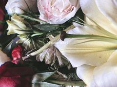 -海底捞火锅(振华广场店)