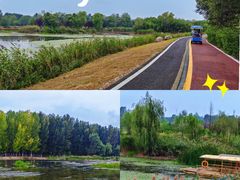 -淇河国家湿地公园