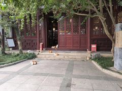 -苏州图书馆(人民路总馆)