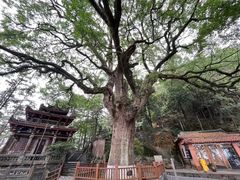 -安溪清水岩