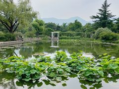 -国家植物园南园