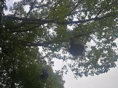 -杭州少年儿童公园
