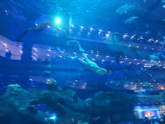-成都浩海立方海洋公园
