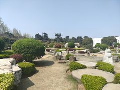 -中国唐苑