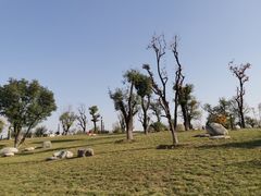 -汉长安城未央宫国家考古遗址公园