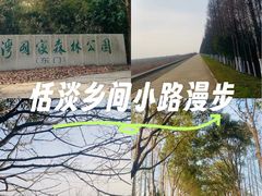 -上海海湾国家森林公园