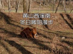 -西溪南古村落景区