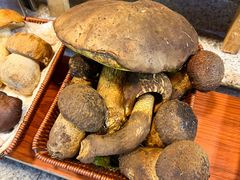 -草墩罗非鱼庄•野生菌•腊排骨(七星街上段店)