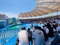 -华夏文旅海洋公园