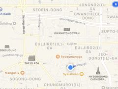 -乐天免税店(明洞店)