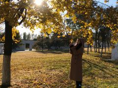 -长春世界雕塑园冰雪艺术天地