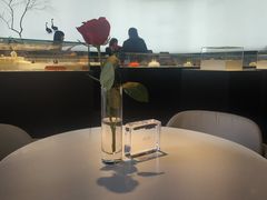 -BLACKSWAN黑天鹅(环球店)