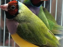 -三旗百汇商品城