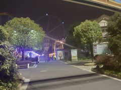 -锦江乐园舞狸花花游园会(夜场专享)
