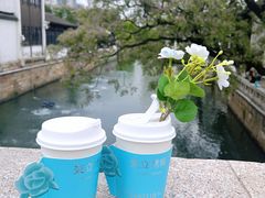 -青果巷历史文化街区