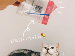 -艾贝尔宠物医院·24H转诊中心·肿瘤猫专科(江宁双龙店)