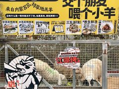 -侠舍·江湖烤全羊·大排档(沌口总店)