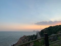 -广东惠东海龟国家级自然保护区