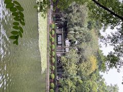 -荔湾湖公园