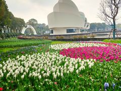 -上海鲜花港