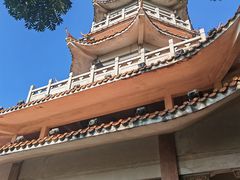 -水濂山森林公园