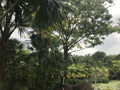 -牛车水美食街